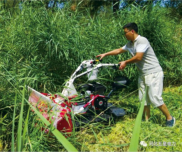 瓦爾特·御虹”WX-800型履帶自行走式堤防割草機(jī) 瓦爾特·御虹”WX-800型履帶自行走式堤防割草機(jī)